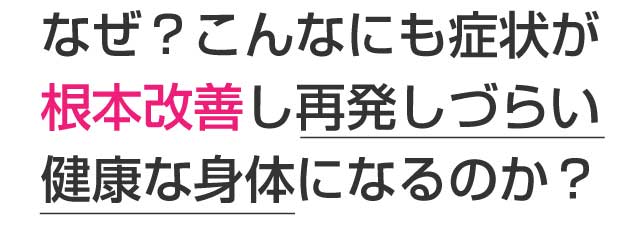 楽々園メディカル鍼灸整骨院・整体院