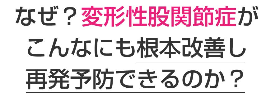 楽々園メディカル鍼灸整骨院・整体院