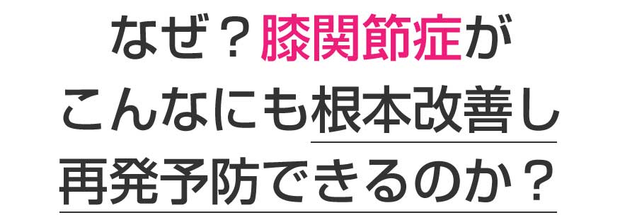 楽々園メディカル鍼灸整骨院・整体院