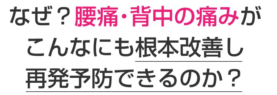 楽々園メディカル鍼灸整骨院・整体院