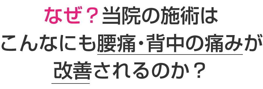 楽々園メディカル鍼灸整骨院・整体院